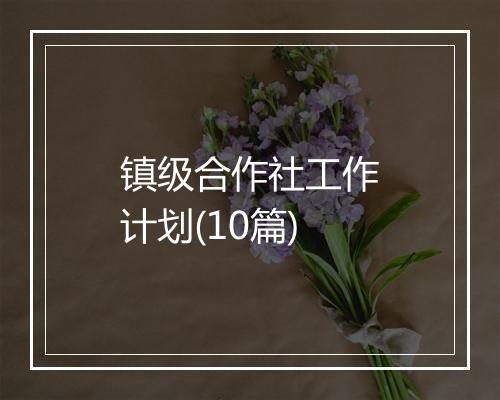 镇级合作社工作计划(10篇)