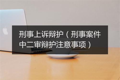 刑事上诉辩护(刑事案件中二审辩护注意事项)