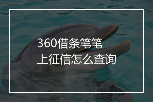 360借条笔笔上征信怎么查询