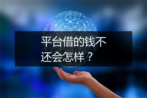 平台借的钱不还会怎样?