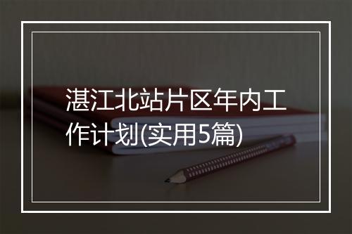 湛江北站片区年内工作计划(实用5篇)