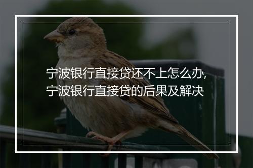宁波银行直接贷还不上怎么办,宁波银行直接贷的后果及解决
