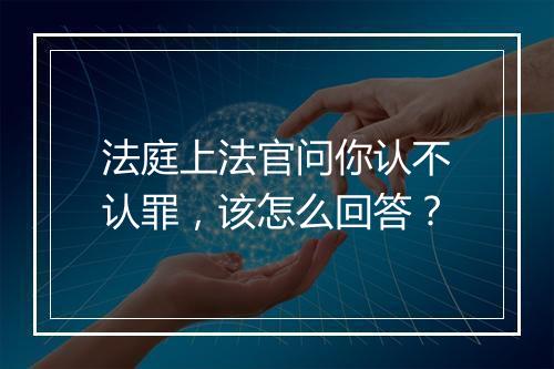 法庭上法官问你认不认罪,该怎么回答?