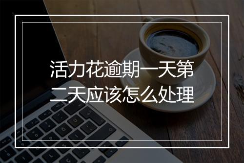 活力花逾期一天第二天应该怎么处理