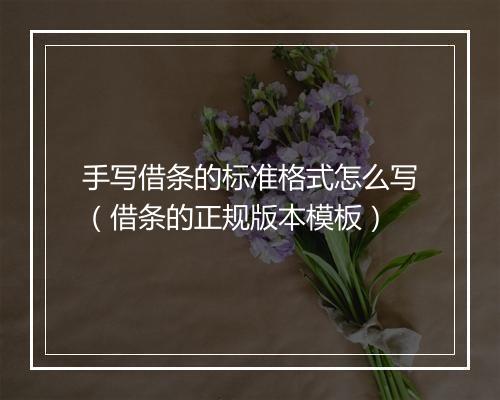手写借条的标准格式怎么写(借条的正规版本模板)