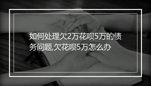 如何处理欠2万花呗5万的债务问题,欠花呗5万怎么办