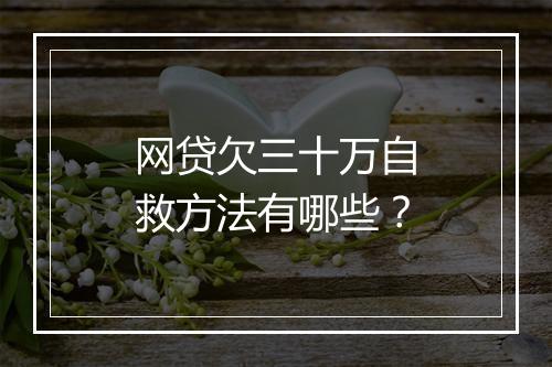 网贷欠三十万自救方法有哪些?