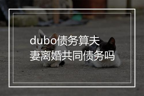 dubo债务算夫妻离婚共同债务吗
