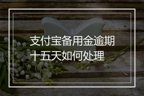 支付宝备用金逾期十五天如何处理