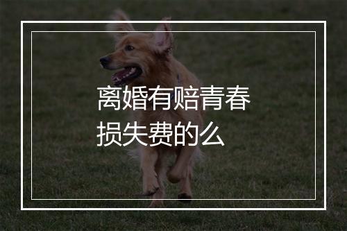 离婚有赔青春损失费的么