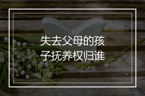 失去父母的孩子抚养权归谁