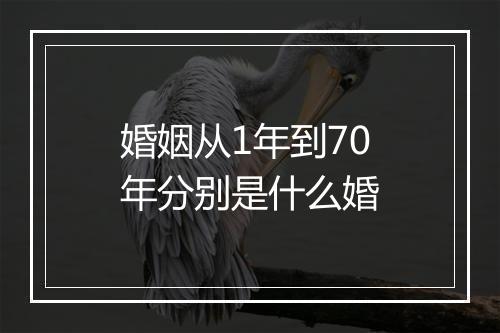 婚姻从1年到70年分别是什么婚