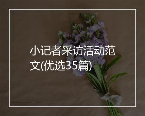 小记者采访活动范文(优选35篇)