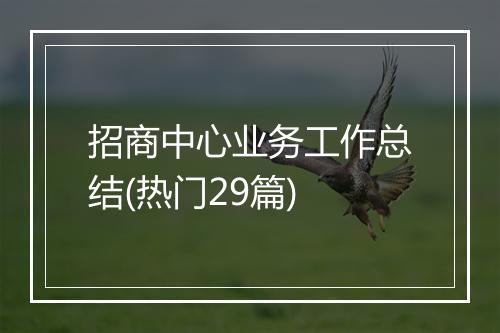 招商中心业务工作总结(热门29篇)
