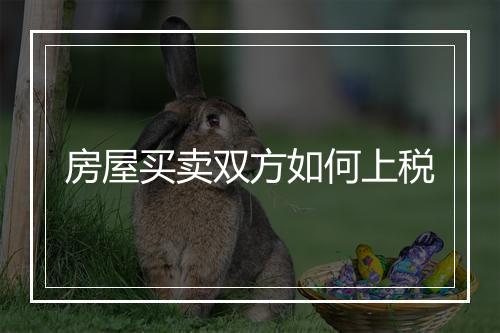 房屋买卖双方如何上税