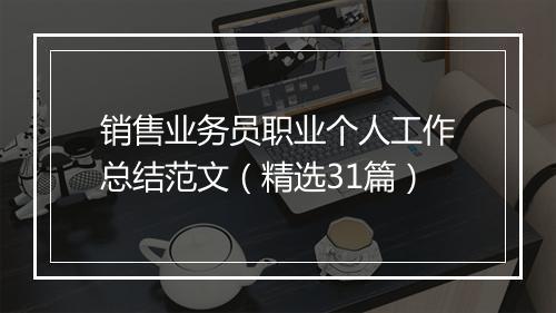 销售业务员职业个人工作总结范文(精选31篇)