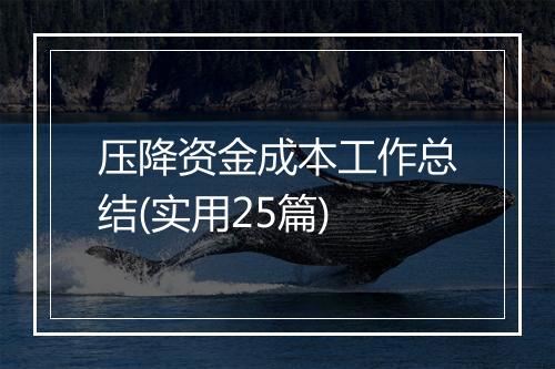 压降资金成本工作总结(实用25篇)