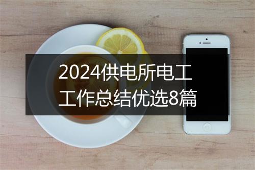 2024供电所电工工作总结优选8篇