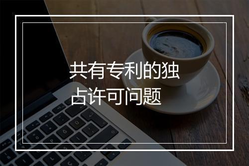 共有专利的独占许可问题