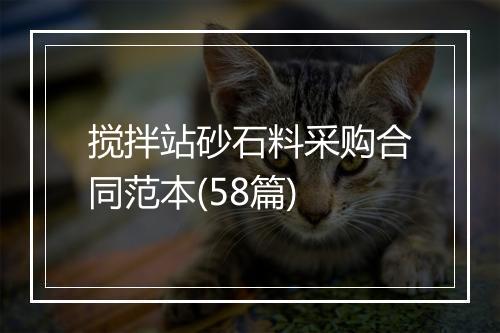 搅拌站砂石料采购合同范本(58篇)