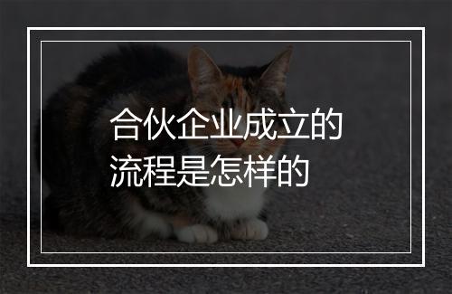 合伙企业成立的流程是怎样的
