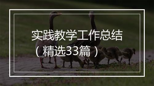 实践教学工作总结(精选33篇)
