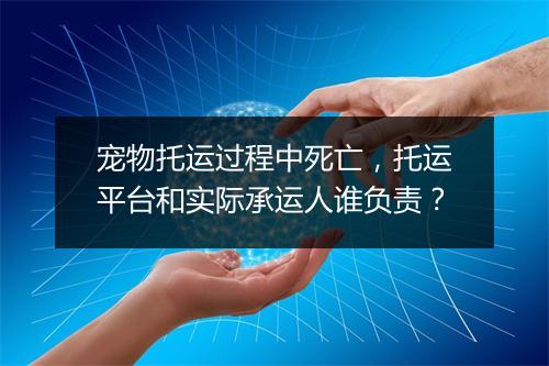 宠物托运过程中死亡,托运平台和实际承运人谁负责?