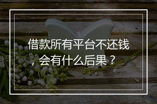 借款所有平台不还钱,会有什么后果?