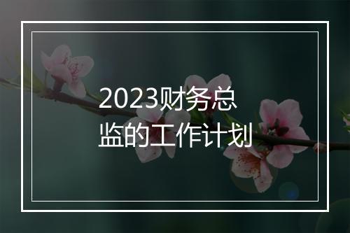 2023财务总监的工作计划