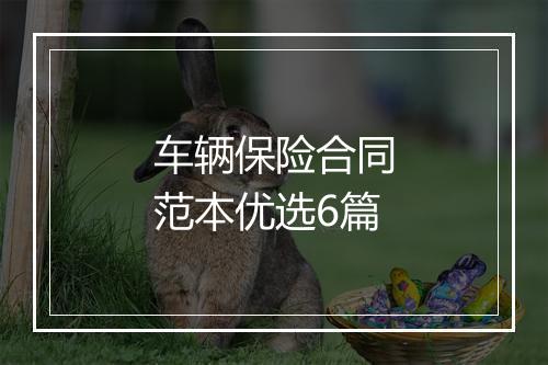 车辆保险合同范本优选6篇
