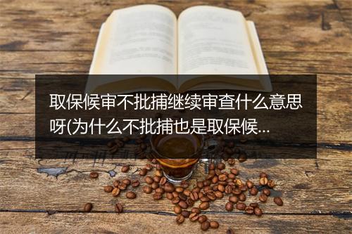 取保候审不批捕继续审查什么意思呀(为什么不批捕也是取保候审)