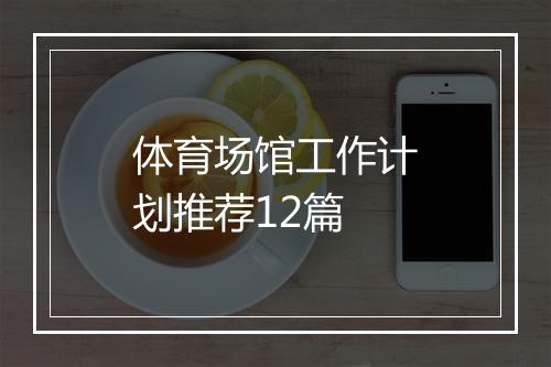体育场馆工作计划推荐12篇