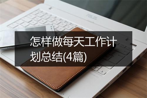 怎样做每天工作计划总结(4篇)