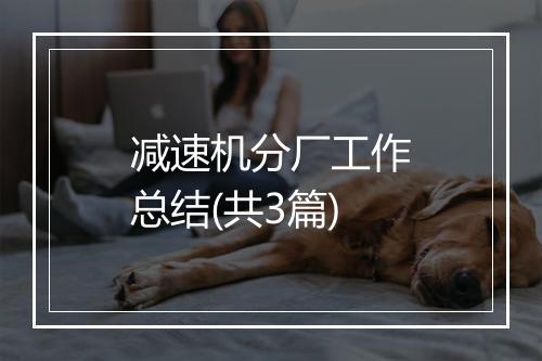 减速机分厂工作总结(共3篇)