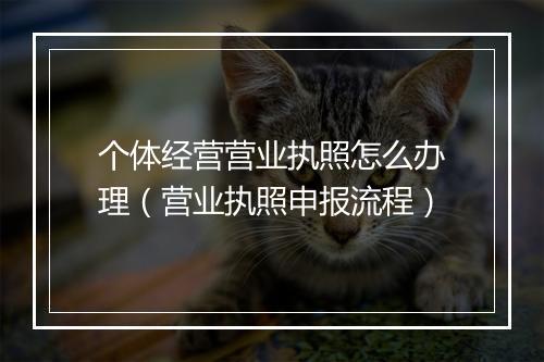 个体经营营业执照怎么办理(营业执照申报流程)