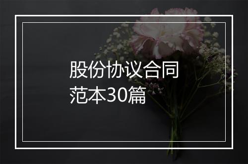 股份协议合同范本30篇