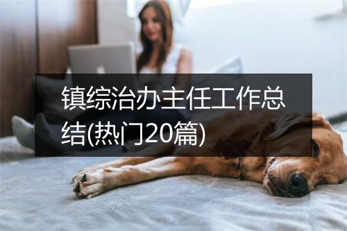 镇综治办主任工作总结(热门20篇)