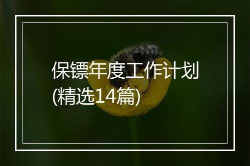 保镖年度工作计划(精选14篇)