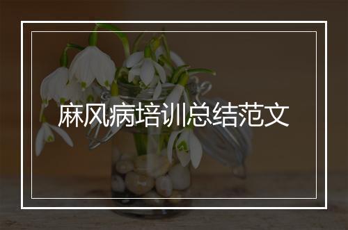 麻风病培训总结范文