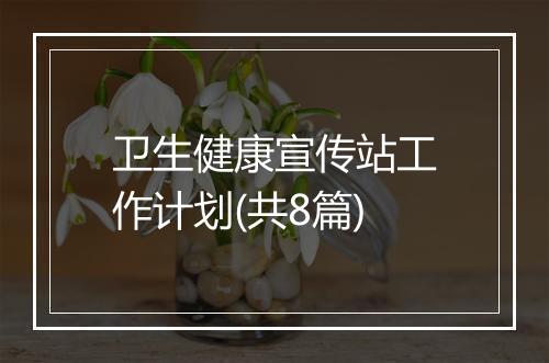 卫生健康宣传站工作计划(共8篇)