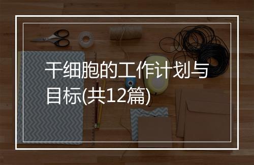 干细胞的工作计划与目标(共12篇)