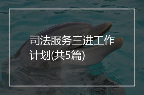 司法服务三进工作计划(共5篇)