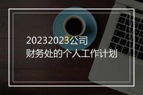 20232023公司财务处的个人工作计划