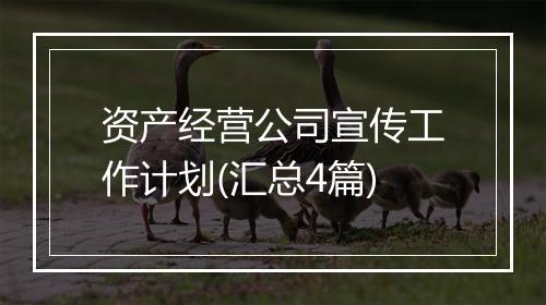 资产经营公司宣传工作计划(汇总4篇)