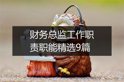 财务总监工作职责职能精选9篇