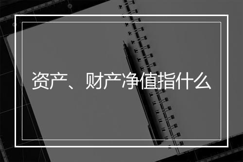 资产、财产净值指什么