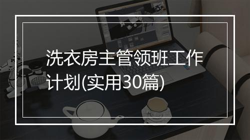 洗衣房主管领班工作计划(实用30篇)