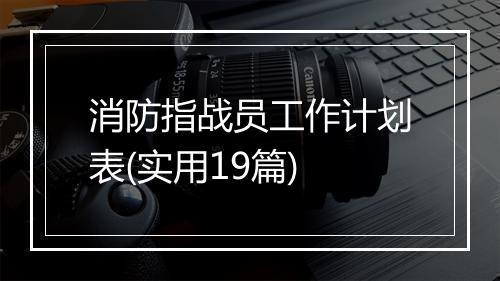消防指战员工作计划表(实用19篇)