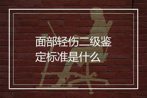 面部轻伤二级鉴定标准是什么