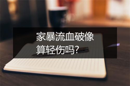 家暴流血破像算轻伤吗?